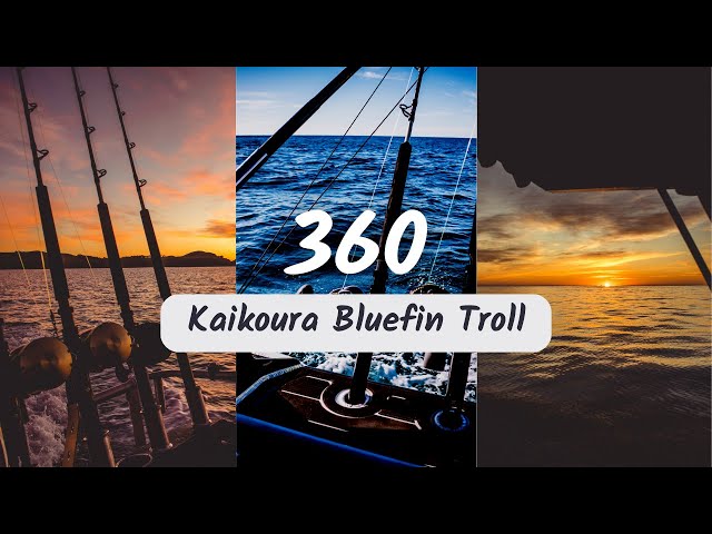 360 | Kaikoura Bluefin Tuna Trolling | Use mouse or turn phone to turn 360