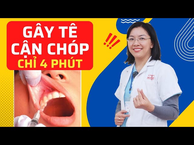 [Chỉ Trong 4 Phút] GÂY TÊ CẬN CHÓP - Hiệu Quả Ngay...  - ThS, BS Nguyễn Quỳnh Trang #nội_nha_a_z