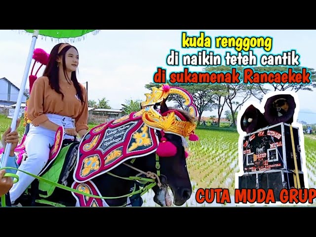 Kuda renggong || di naikin teteh cantik || di Sukamenak Rancaekek || Cuta muda || kuda cantik