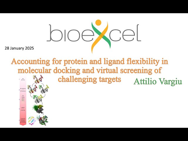 Bioexcel webinar #80 Accounting for protein and ligand flexibility in molecular docking