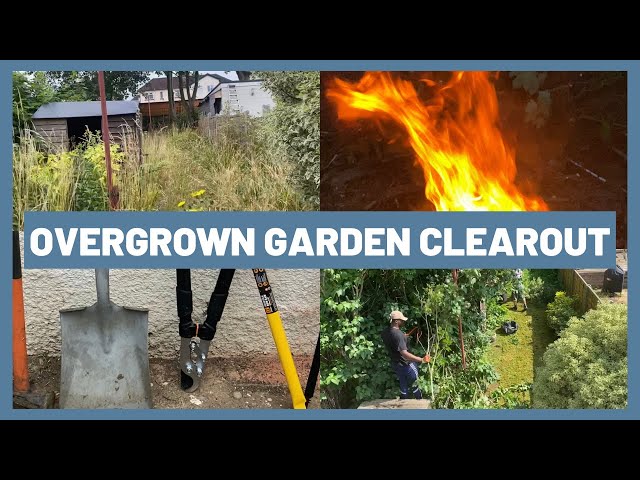 HOW TO CLEAR YOUR OVERGROWN GARDEN | DIY GARDEN TRANSFORMATION AFTER YEARS OF NEGLECT