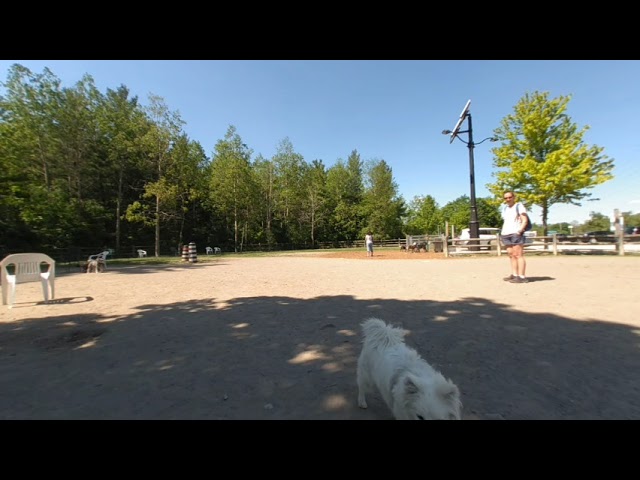 Seaton trail dogpark vr180