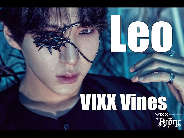 VIXX Vines - Leo