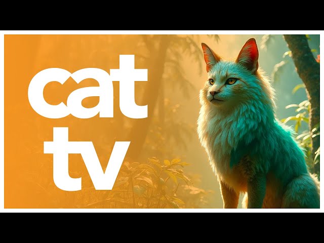 CAT TV | Video for All Cats to Watch 🌈 Complete Cat Video with Birds and Music for Cats (18 Hours)