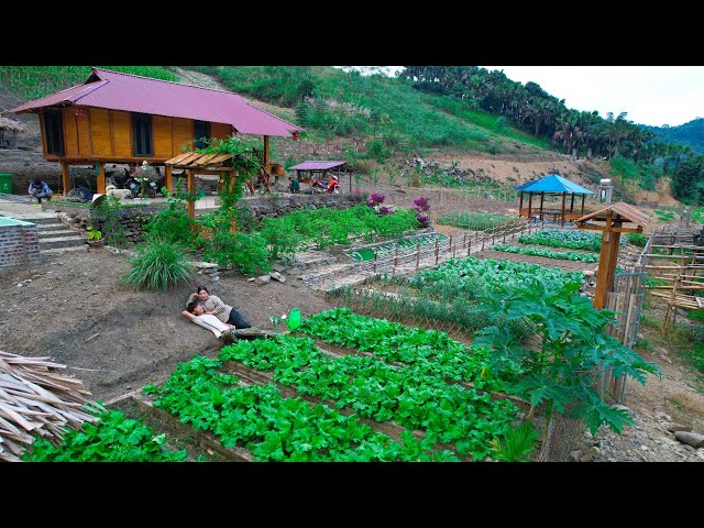 Sang vy builds a farm together, plants and harvests, vegetable garden, chickens - Sang vy farm