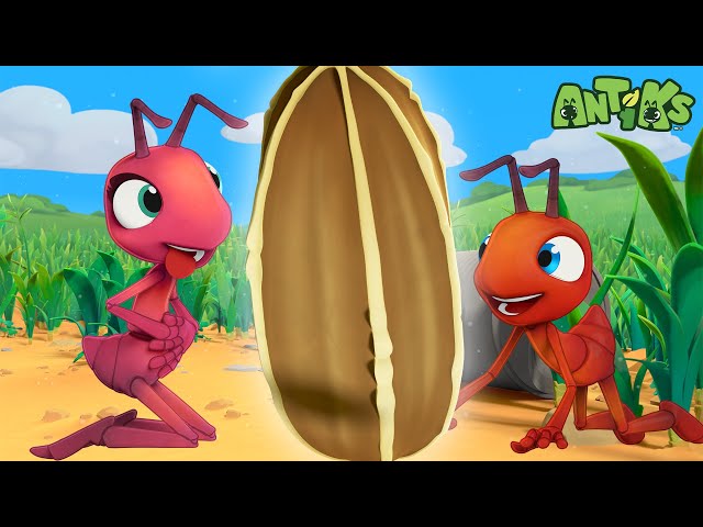 Ant Farm | Antiks 🐜 | Funny Cartoons for Kids