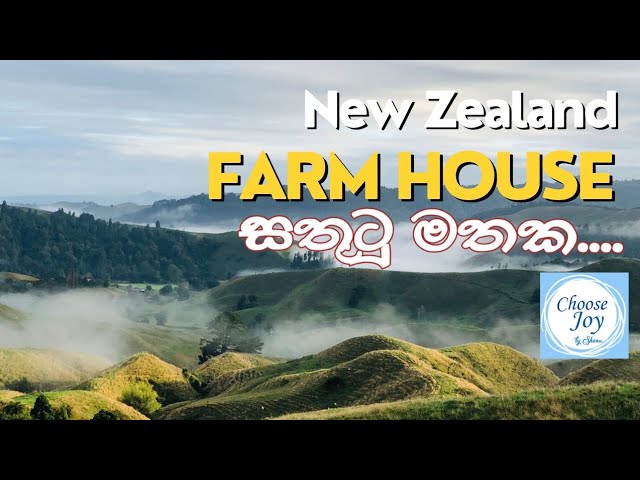 Farm House - සතුටු මතක....