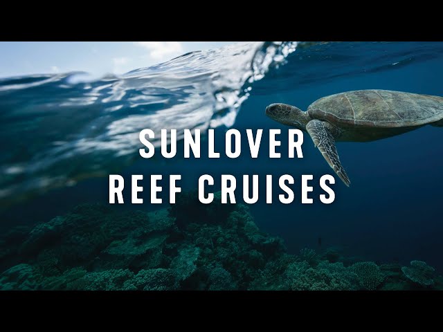 Experience the Great Barrier Reef from Cairns with Sunlover Reef Cruises