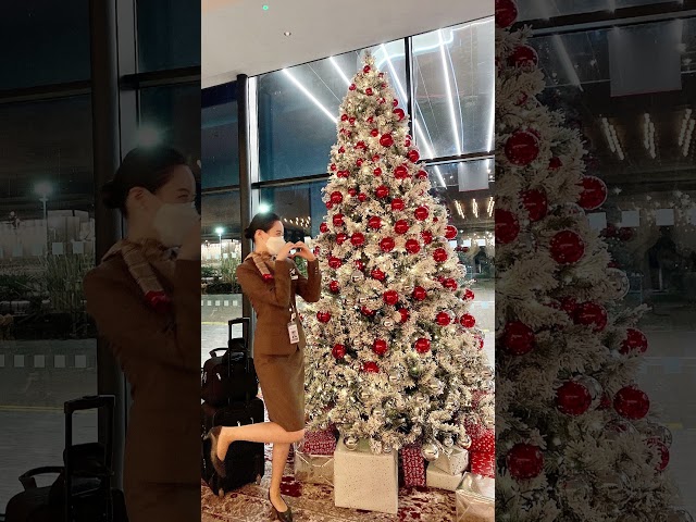 𝐎𝐙𝕚𝕔 ℂ𝕣𝕖𝕨🎄크리스마스라 오히려 좋아