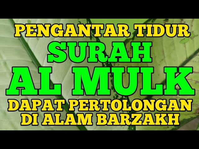 Surah Al Mulk suara merdu pengantar tidur, dapat pertolongan di  alam barzakh