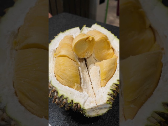 WATCH THIS! DurianMan's Expert CHOPPING Durian!