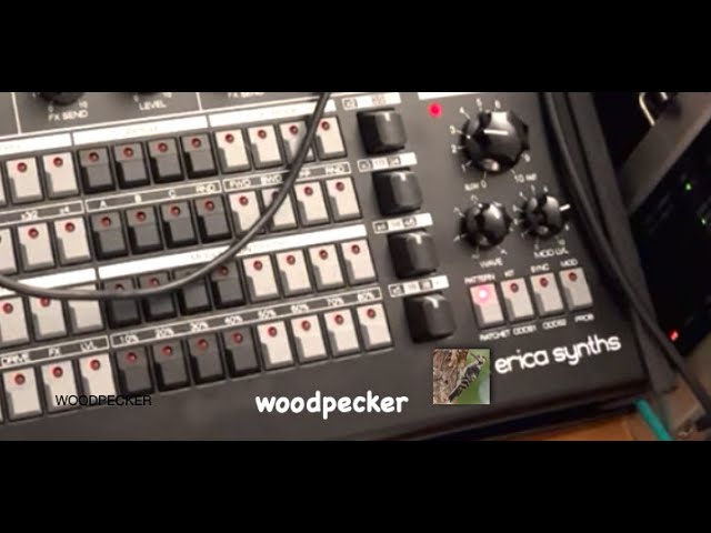 Erica Synths WoodPecker HD-01