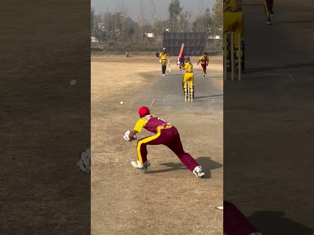 INSWING BALL #shabqadarcriketacademy #sca_family  #cricketfan #cricketlover #youtubeshorts