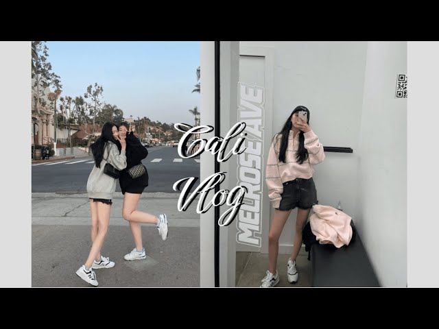 LA & San Diego Vlog | Travel Vlog 2022 | Hiking Hollywood Sign & Kbbq Spots & Shopping | 加州VLOG 02