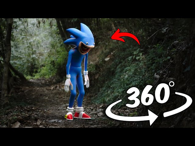 Shin Sonic Tapes Finding Challenge 360º VR Video #2