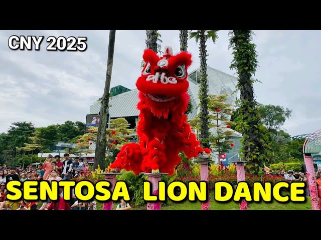 Amazing High Pole Lion Dance  | Sentosa Chinese New Year | Singapore Chinese New Year 2025