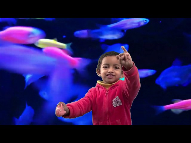 123 song| Number Rhyme for children| Once I caught a fish song | by Haiza