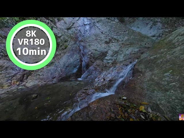 10 Min Meditation Cool off in the shade while watching the waterfall VR180 8K Binaural ASMR