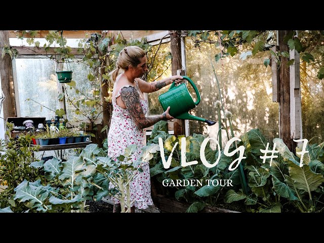 Garden Tour | Vlog # 7   #newzealand #gardening #vloglife #vlogger #gardentour