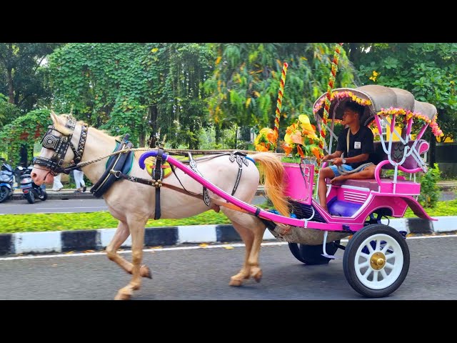 NAIK KUDA - NAIK DELMAN ISTIMEWA - ONDEL² BADUT JOGET - SATU² AKU SAYANG IBU - KALAU KAU SUKA HATI