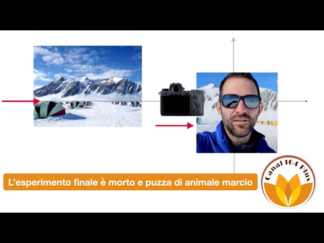 L’esperimento finale è morto e puzza di animale marcio