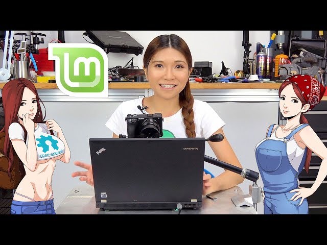 Installing Linux Mint on a Used Thinkpad