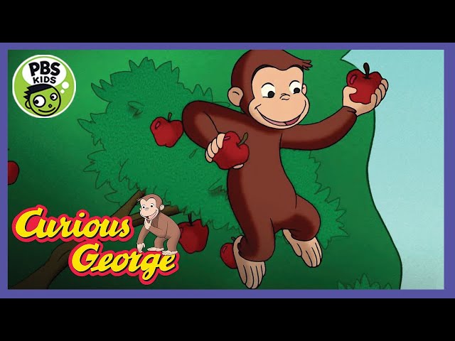 Apple Picking  | Curious George - PBS Best Games