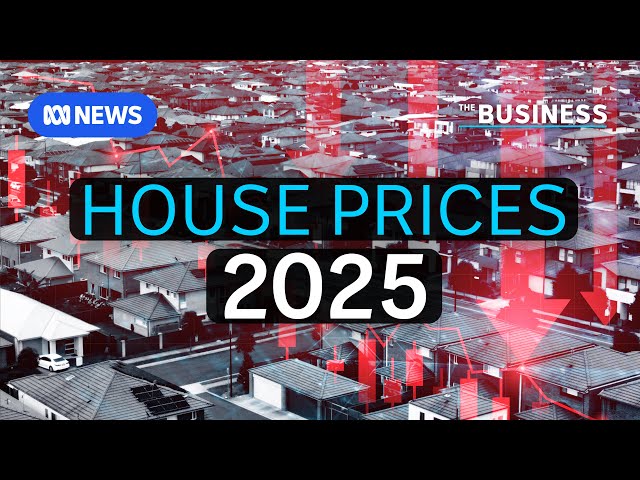 What will happen to house prices in 2025? | The Business | ABC NEWS