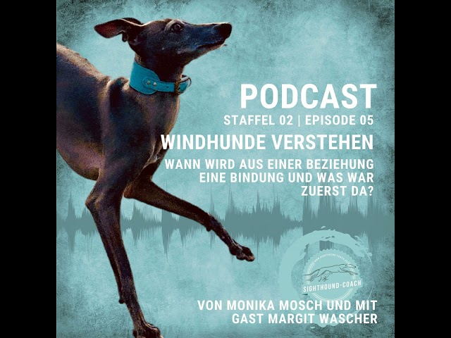 Windhunde verstehen. Beziehung oder Bindung – was war zuerst da?