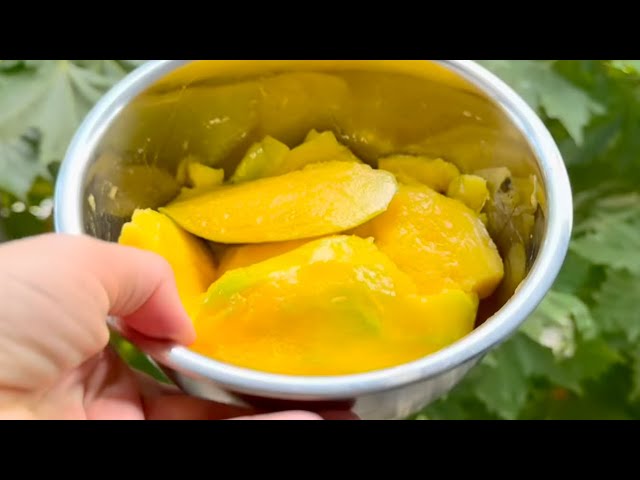 How To Make Yummy Mousse | Enjoy Dessert With Mango | Homemade Strawberry Mousse