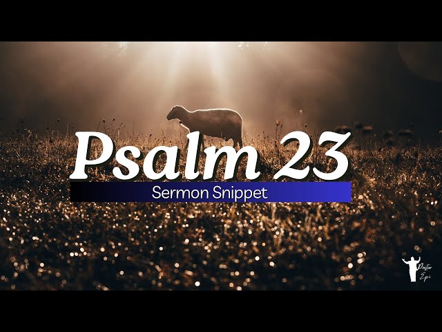 Psalm 23: What if David Didn't Trust God?