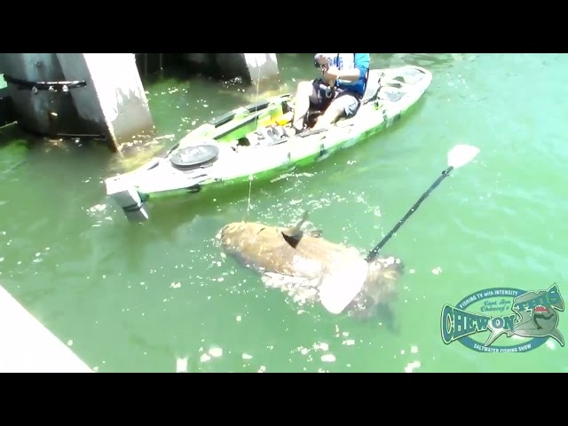 "Mighty Man Vs Monstrous 500-Pound Grouper From Kayak"