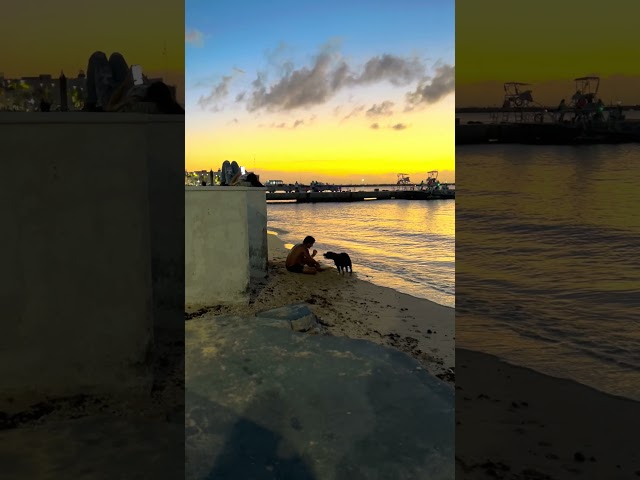 Playing with a dog on the beach