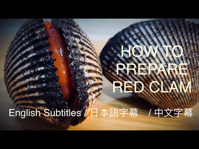 【Insanely Huge!!】RED CLAM (ARK SHELL) Sashimi | Cook & Eat AMAZING Seafood in Dalian, China | 赤貝 大連