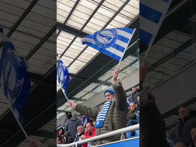 ¡Banderas al viento en Mendi! #shorts #alaves