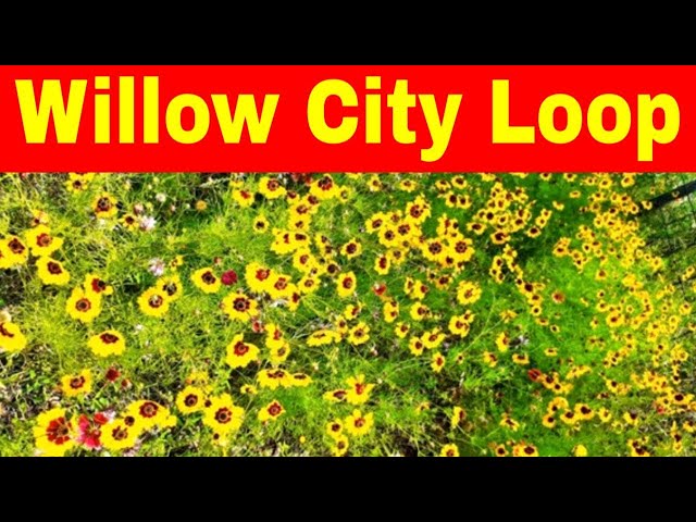 Willow City Loop Texas