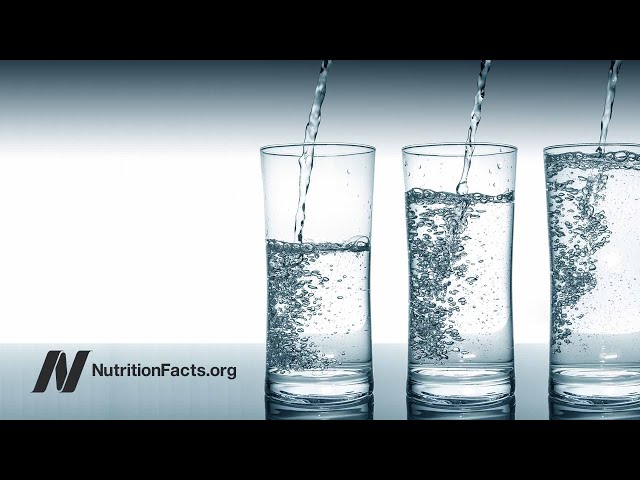 How Many Glasses of Water Should We Drink a Day?