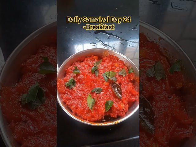 Daily Samaiyal Day 24 - Breakfast #dosairecipe #tomatochutneyintamil #tomatochutney #thakkalithokku