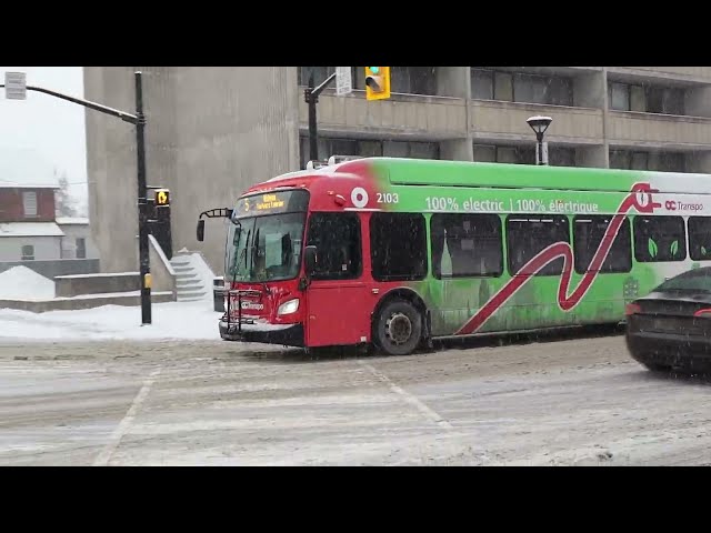 OCTranspo Bus 2103 wrapped and unwrapped.