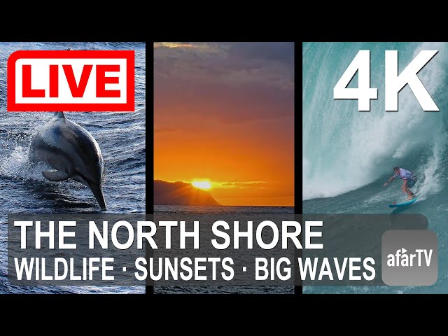 🔴 Live Now: 24/7 Famous North Shore  of Oahu, Hawaii in 4K Ultra HD