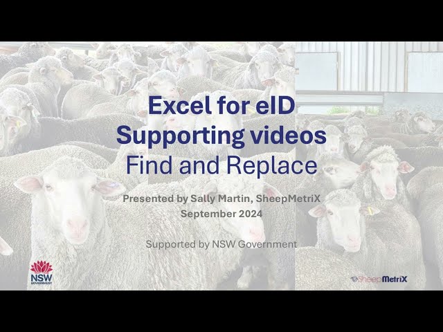 Excel for eID – Find and replace