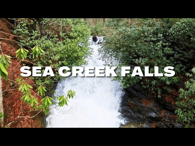 Sea Creek Falls: The Waterfall You’ve Been Missing in North Georgia 🌊