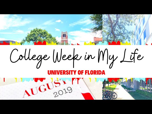 COLLEGE WEEK IN MY LIFE | Florida Laws, Weimer Hall and Taylor Swift | UF