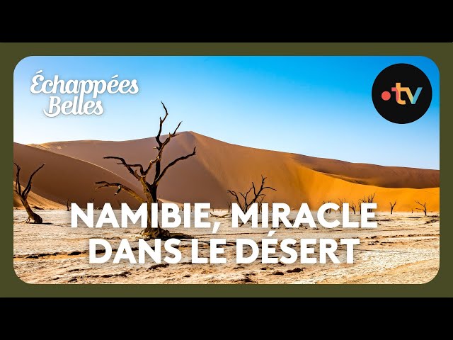 Namibie, un miracle en plein désert - Echappées belles