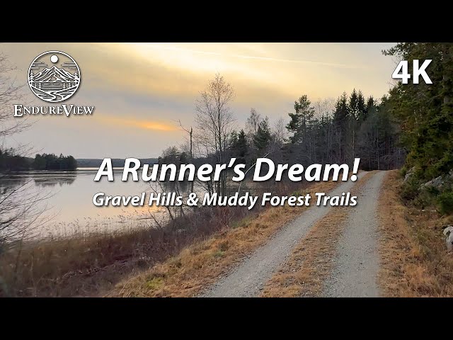 Virtual Run Adventure: Gravel Hills & Muddy Forest Trails – A Runner’s Dream! 🏞️