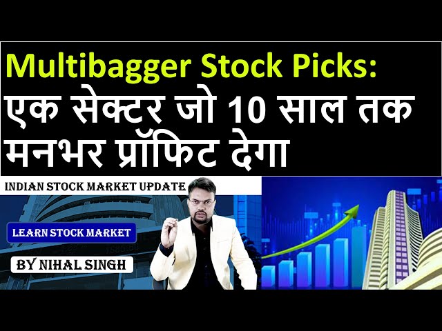 Multibagger Stock Picks: एक सेक्टर जो 10 साल तक मनभर प्रॉफिट देगा