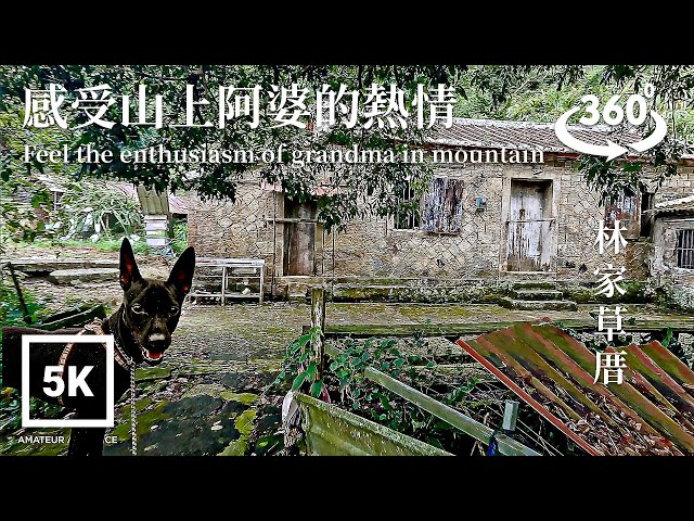 5K 360 VR Taiwan Dog 台灣犬Taipei Walk林家草厝蹓狗茶山古道 Dog Walk Lin Family Caocuo | Taiwan Walk Asmr