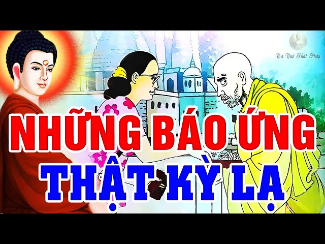 Chuyện Nhân Quả, Về NHỮNG BÁO ỨNG KỲ LẠ Không Nghe Uổng Lắm - Luật Nhân Quả Không Bỏ Sót 1 Ai