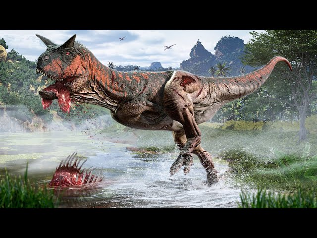 The Carno Solo Survival Experience…