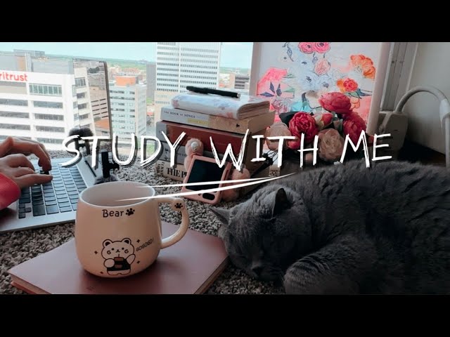 1 HR STUDY WITH ME |  chill lo-fi | study with cute cat🐱 no breaks